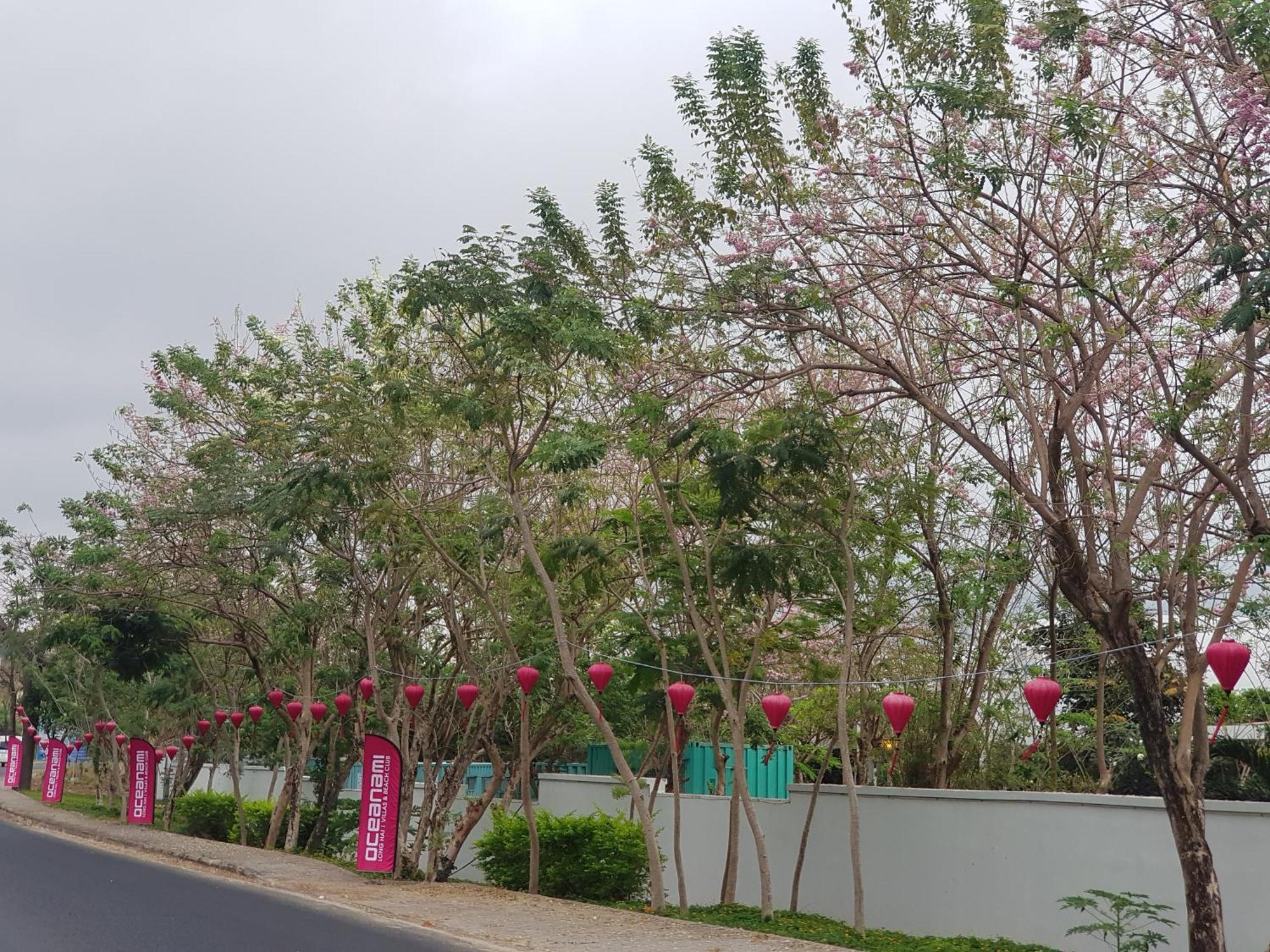 Oceanami Resort Sea View Long Hai Buitenkant foto