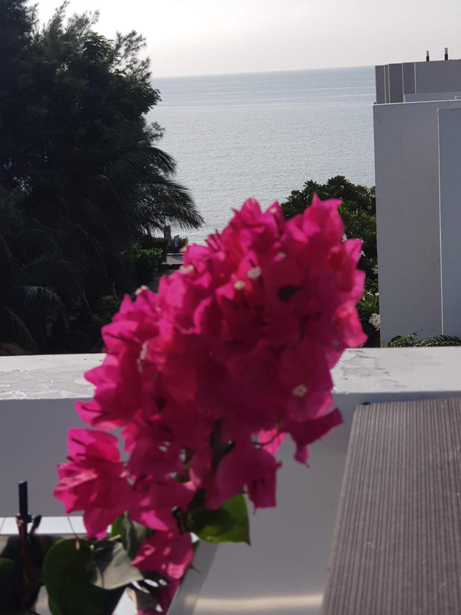 Oceanami Resort Sea View Long Hai Buitenkant foto